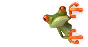 فایل رایگان قورباغه Green Frog