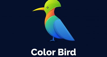 دانلود لوگو  چند رنگ پرنده Bird logo