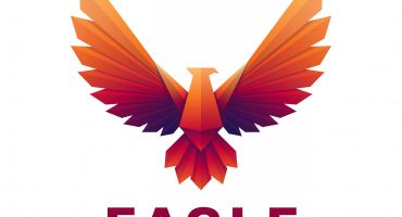 دانلود لوگو  خلاقانه عقاب Eagle logo