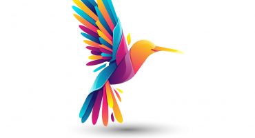 دانلود لوگو رنگی طرح پرنده hummingbird logo
