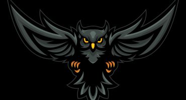 وکتور لایه باز لوگو جغد Owl Logo