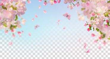 دانلود وکتور لایه باز شکوفه های گیلاس نوروز 1401
