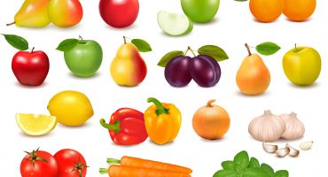 دانلود کالکشن وکتور میوه های تابستانی و سبزیجات